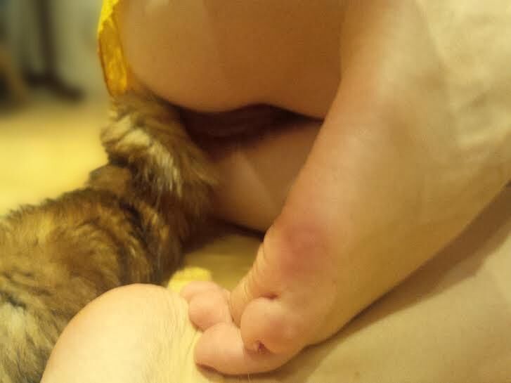 littekissmuffinの緑豊かなおっぱい