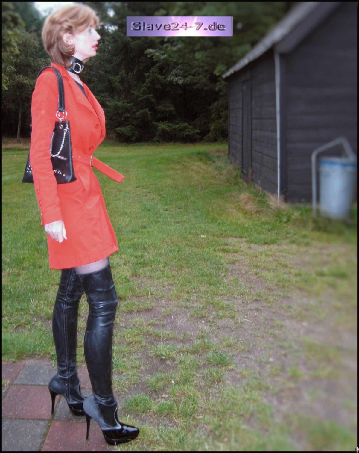 変態妻の奴隷の賛辞