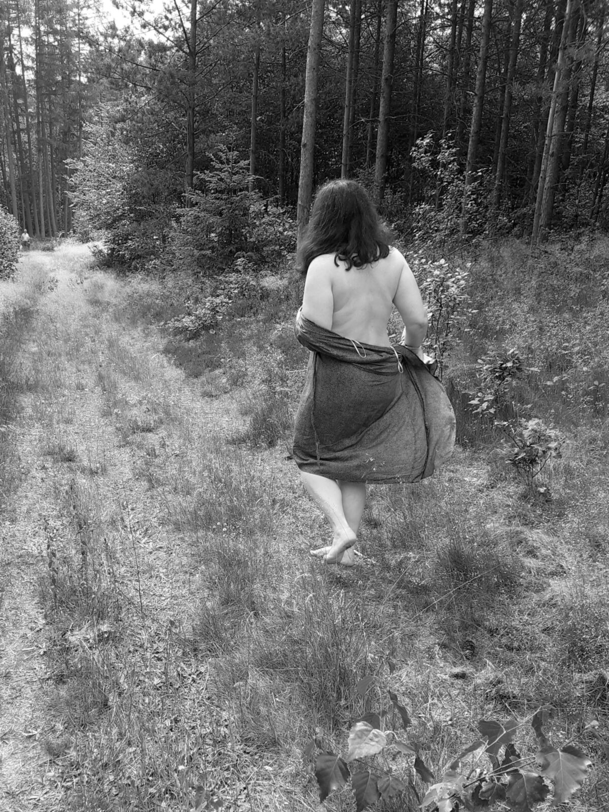 Mittelsommar