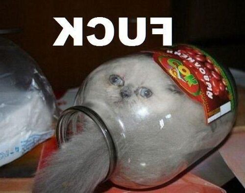 Выйти, чтобы увидеть волшебника (WTF)