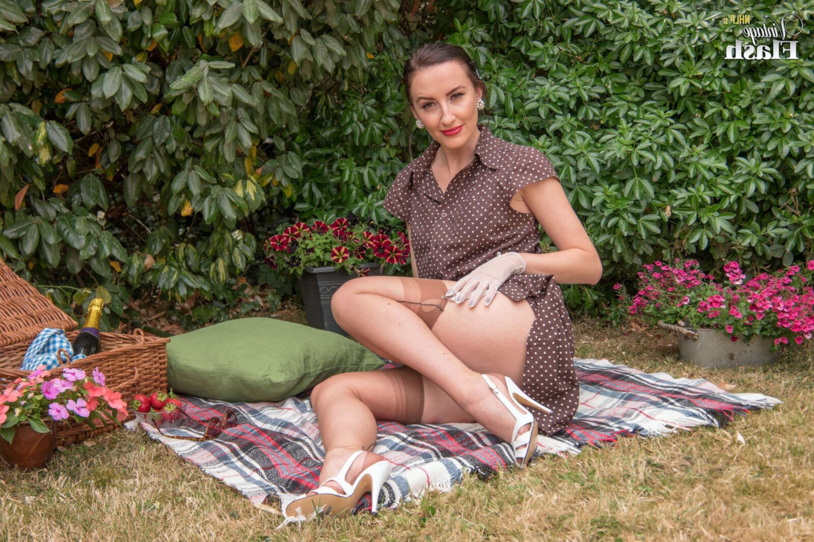 София Смит чулки