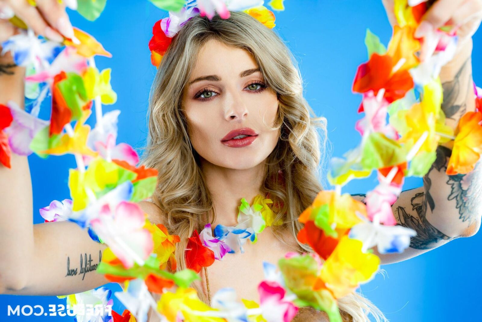 Хили уипле