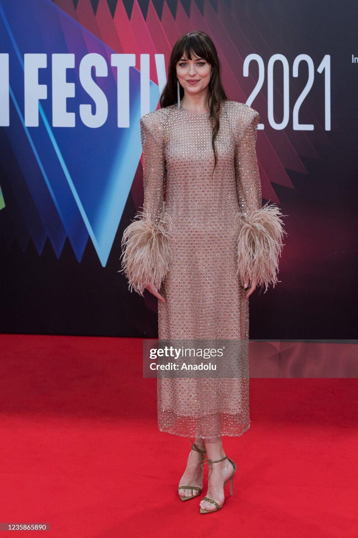 Celeb Dakota Johnson 