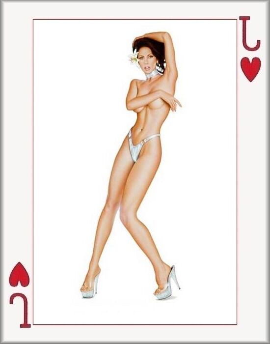 Conjunto completo de cartas de jogo adultas (WTF)