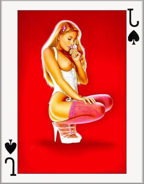 Conjunto completo de cartas de jogo adultas (WTF)