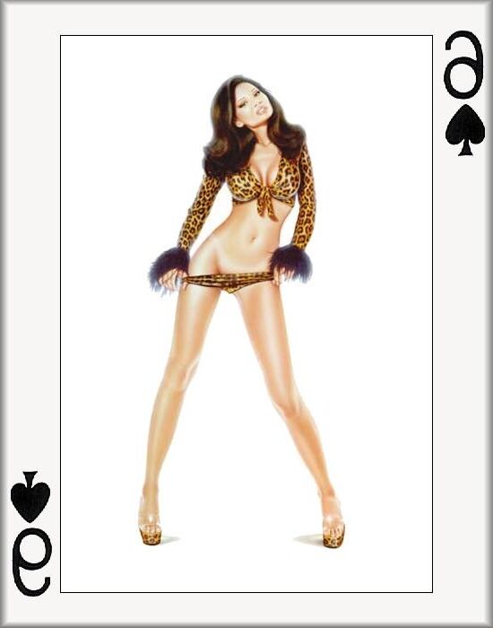 Conjunto completo de cartas de jogo adultas (WTF)
