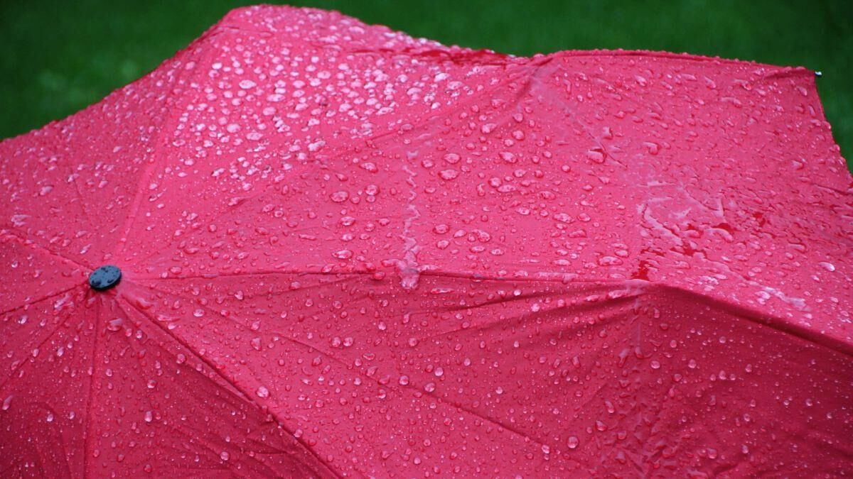 Sabine E. Red Umbrella