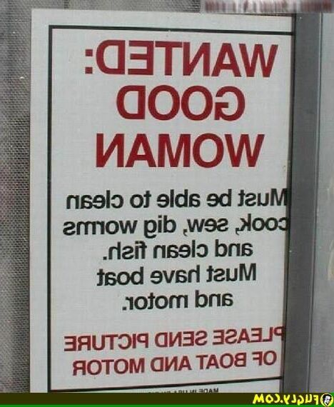 (WTF)