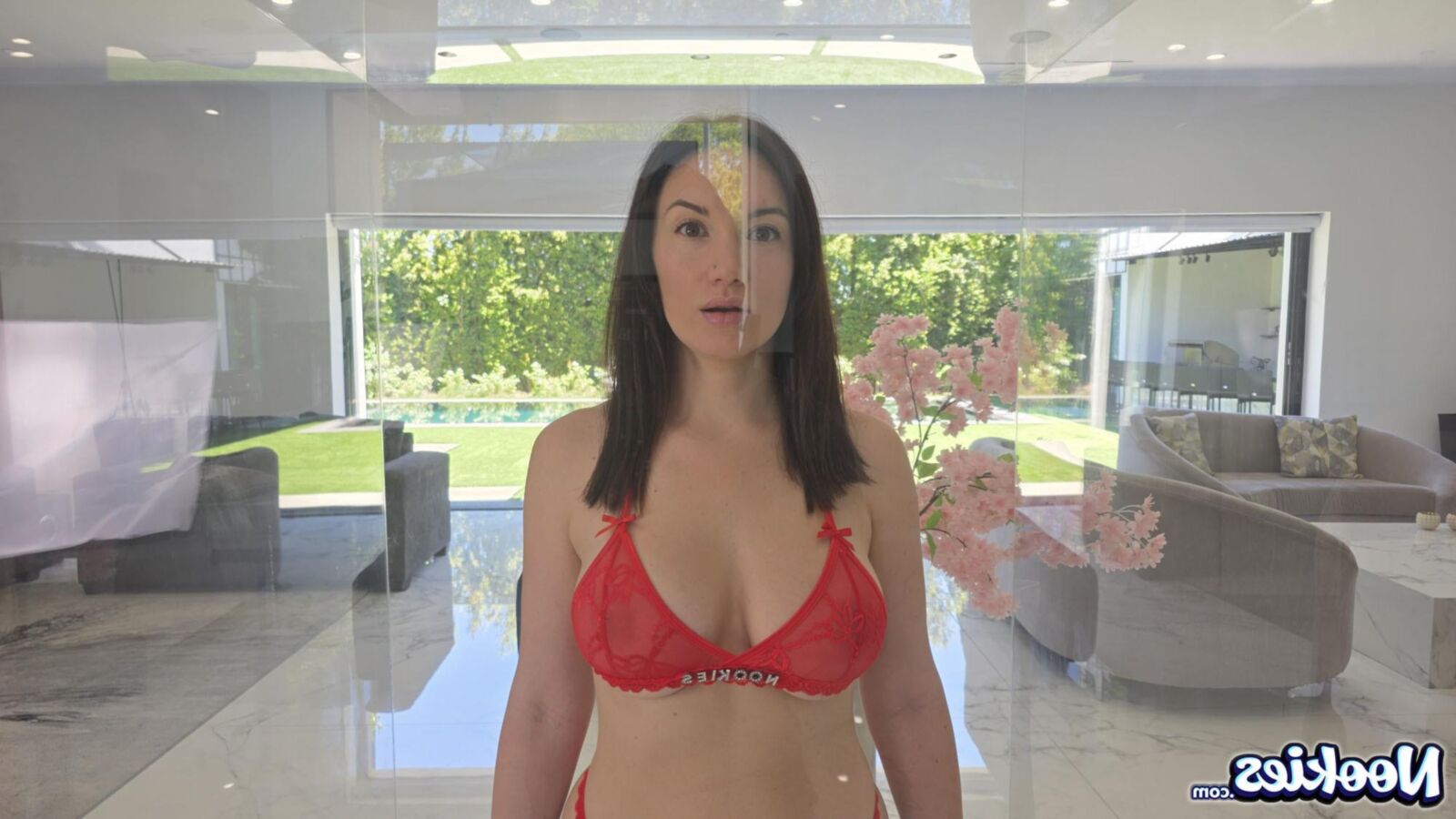 Paris Lincoln yo Sexbot , The Anal Malfuction