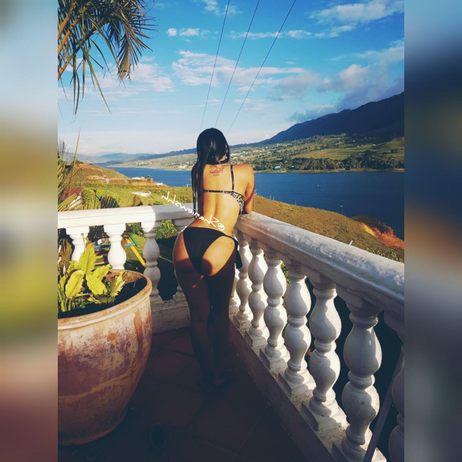Shanie Gaviria Colombian Big Boobs and Butts