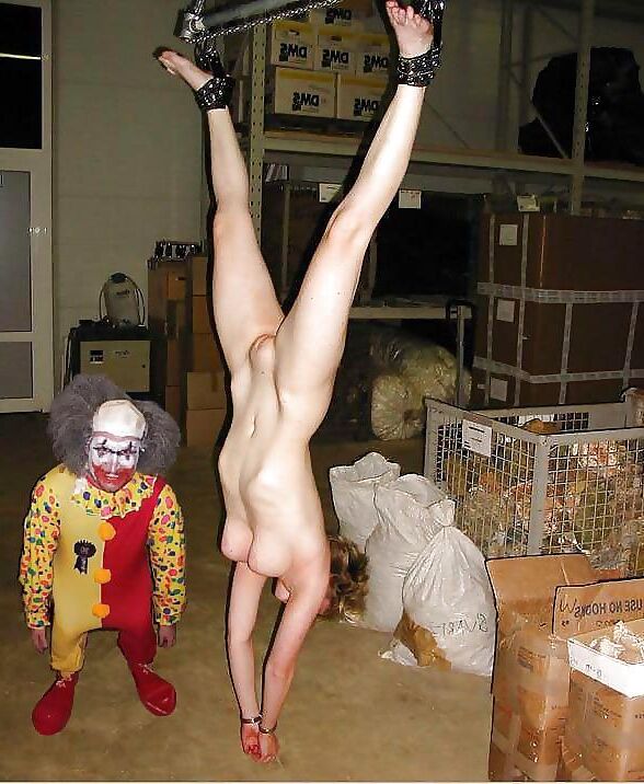  (WTF)