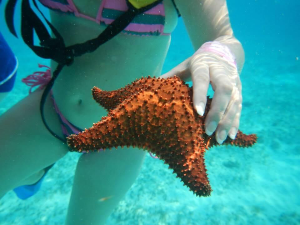 MY ex in bikini
