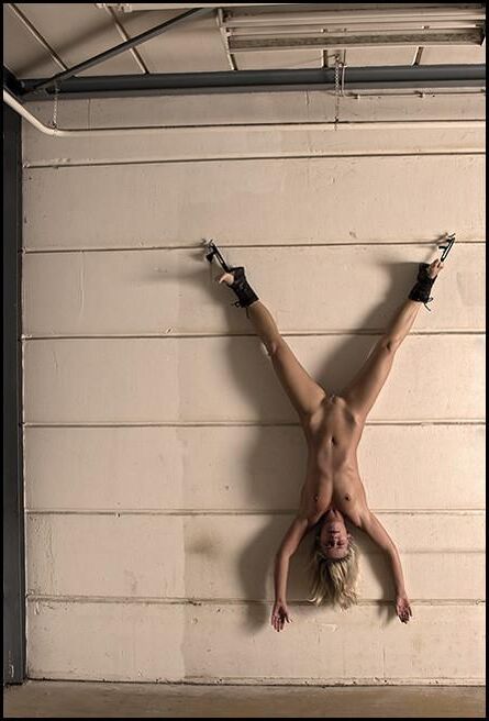 BDSM pics 