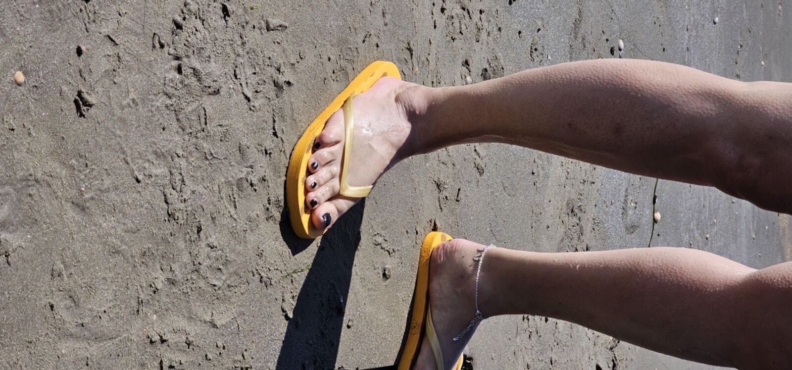 Wifes Feet
