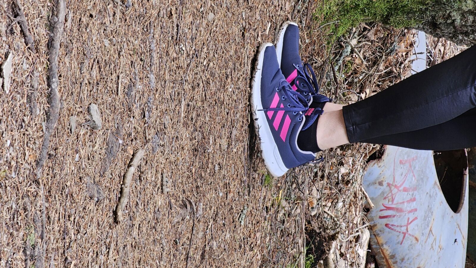 Wifes Feet