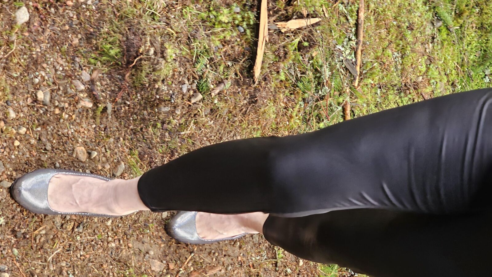 Wifes Feet