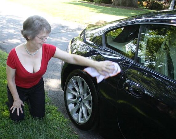 Bichonner Son Auto